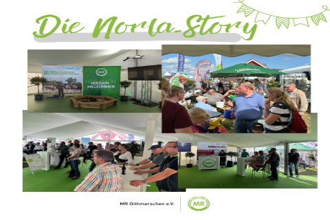 Die Norlastory